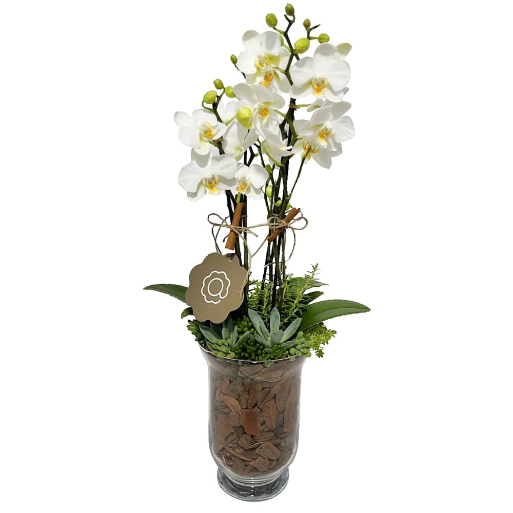 comprar flores online flores melhor floricultura entrega de flores porto alegre