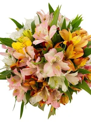 floricultura porto alegre floricultura moinhos de vento arranjo de alstroemerias melhor floricultura