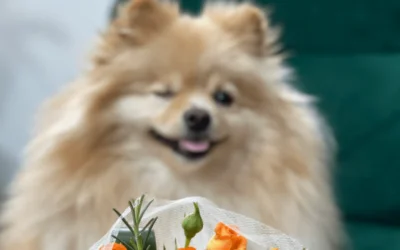 Cachorro encima de poltrona verde ao lado de vaso de flor.