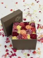 Rose Blanc - Box de Cravinas Coloridas - Imagem 3