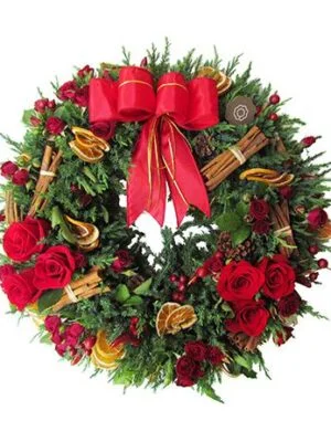 Christmas Hope
