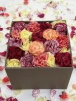 Rose Blanc - Box de Cravinas Coloridas - Imagem 2