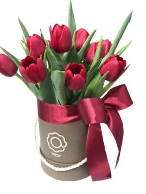 Keukenhof - Box com 15 Tulipas