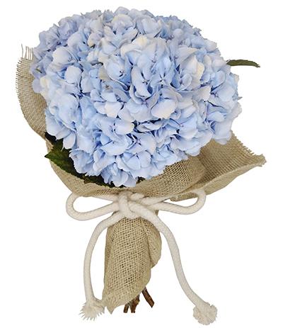 Blu - Buquê de Hortênsia Azul | Arquitetura das Flores
