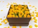 Mini Yellow Box - Box de Mini Rosas Amarelas - Imagem 2