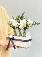 Coconut - Box de Mini Orquídeas Phalaenopsis Brancas - Imagem 2