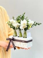 Coconut - Box de Mini Orquídeas Phalaenopsis Brancas - Imagem 2