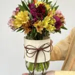 Alpes - Arranjo de Astromélias Coloridas