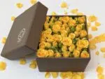 Mini Yellow Box - Box de Mini Rosas Amarelas