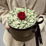 Splendore - Box de flores- Box de 01 Rosa Vermelha e Gypsophila