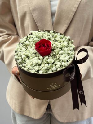 Box de flores