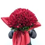 Red Roses - Buquê de 200 Rosas