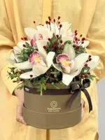Anik - Box de Orquídeas Cymbidium
