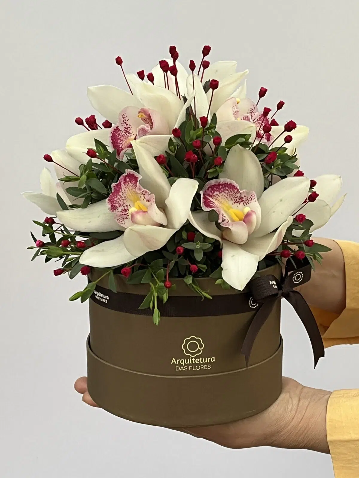 Anik - Box de Orquídeas Cymbidium - Imagem 2