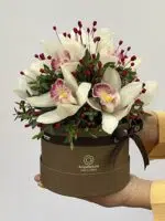 Anik - Box de Orquídeas Cymbidium - Imagem 2