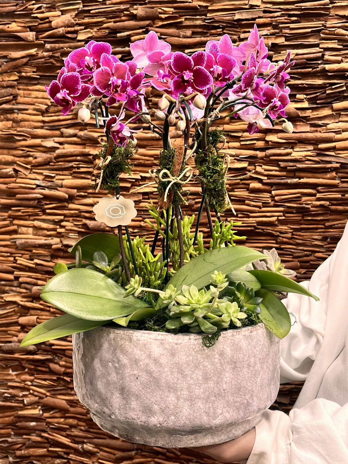 Arts e Crafts - Arranjo de Mini Orquídeas - Imagem 1