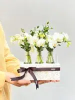 Coconut - Box de Mini Orquídeas Phalaenopsis Brancas - Imagem 3