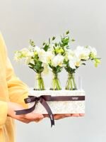 Coconut - Box de Mini Orquídeas Phalaenopsis Brancas - Imagem 3