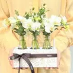 Coconut - Box de Mini Orquídeas Phalaenopsis Brancas