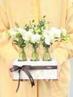 Coconut - Box de Mini Orquídeas Phalaenopsis Brancas