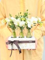 Coconut - Box de Mini Orquídeas Phalaenopsis Brancas