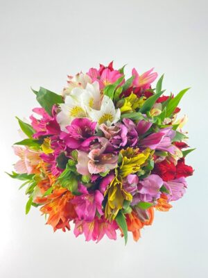 amora box de astromelias coloridas arquitetura das flores porto alegre 4 rotated