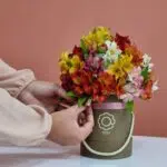 Amora - Box de Astromelias Coloridas