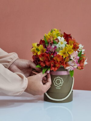 amora box de astromelias coloridas arquitetura das flores porto alegre 8 scaled