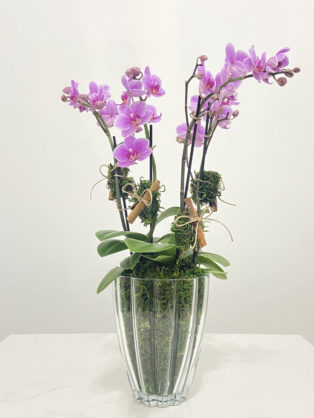 arts e crafts arranjo de mini orquidea arquitetura das flores porto alegre