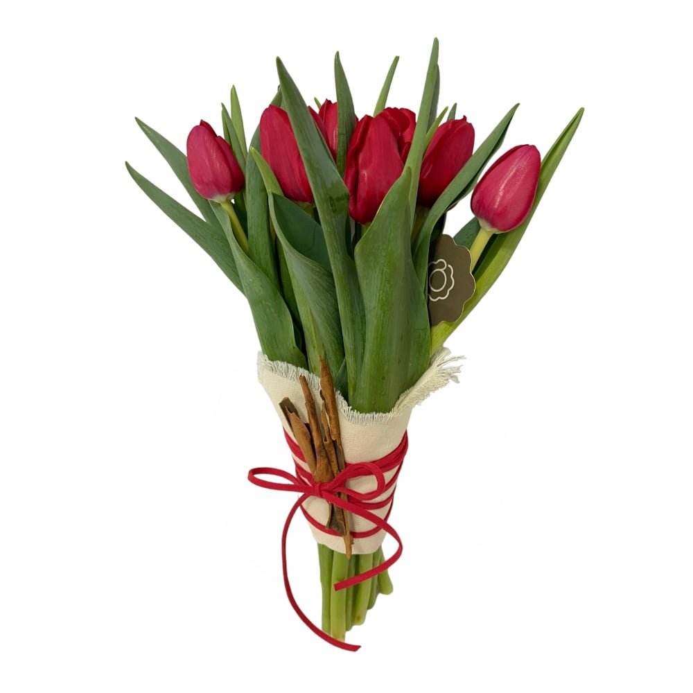 astra buque de 10 tulipas vermelhas arquitetura das flores porto alegre