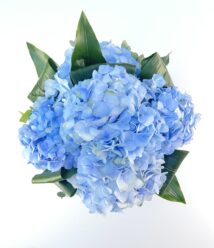 blue bird box com hortensias azuis arquitetura das flores porto alegre 1