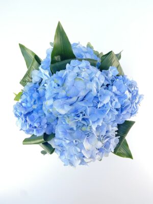 blue bird box com hortensias azuis arquitetura das flores porto alegre 1 scaled