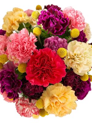 box de flores floricultura em porto alegre entrega em porto alegre entrega em porto alegre e regiao metropolitana arranjo de flores 1