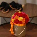 Dijon- Box de Celósias-