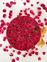 Fleurs Roses - Box de Mini Rosas pink - Imagem 2