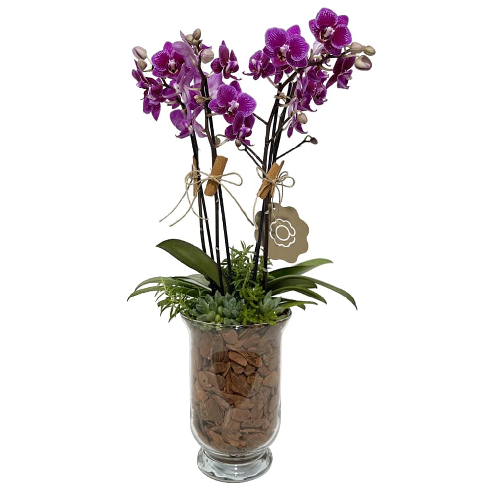 flores flores online enviar flores arranjos de orquideas melhor floricultura 1