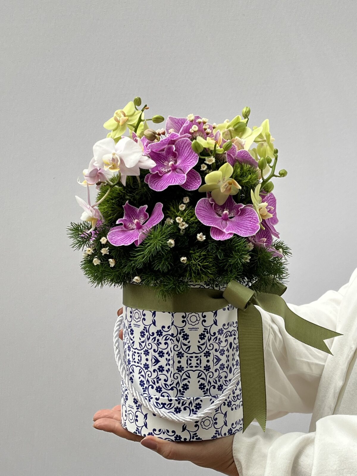 Prune - Box de Mini Orquídeas Phalaenopsis - Imagem 1