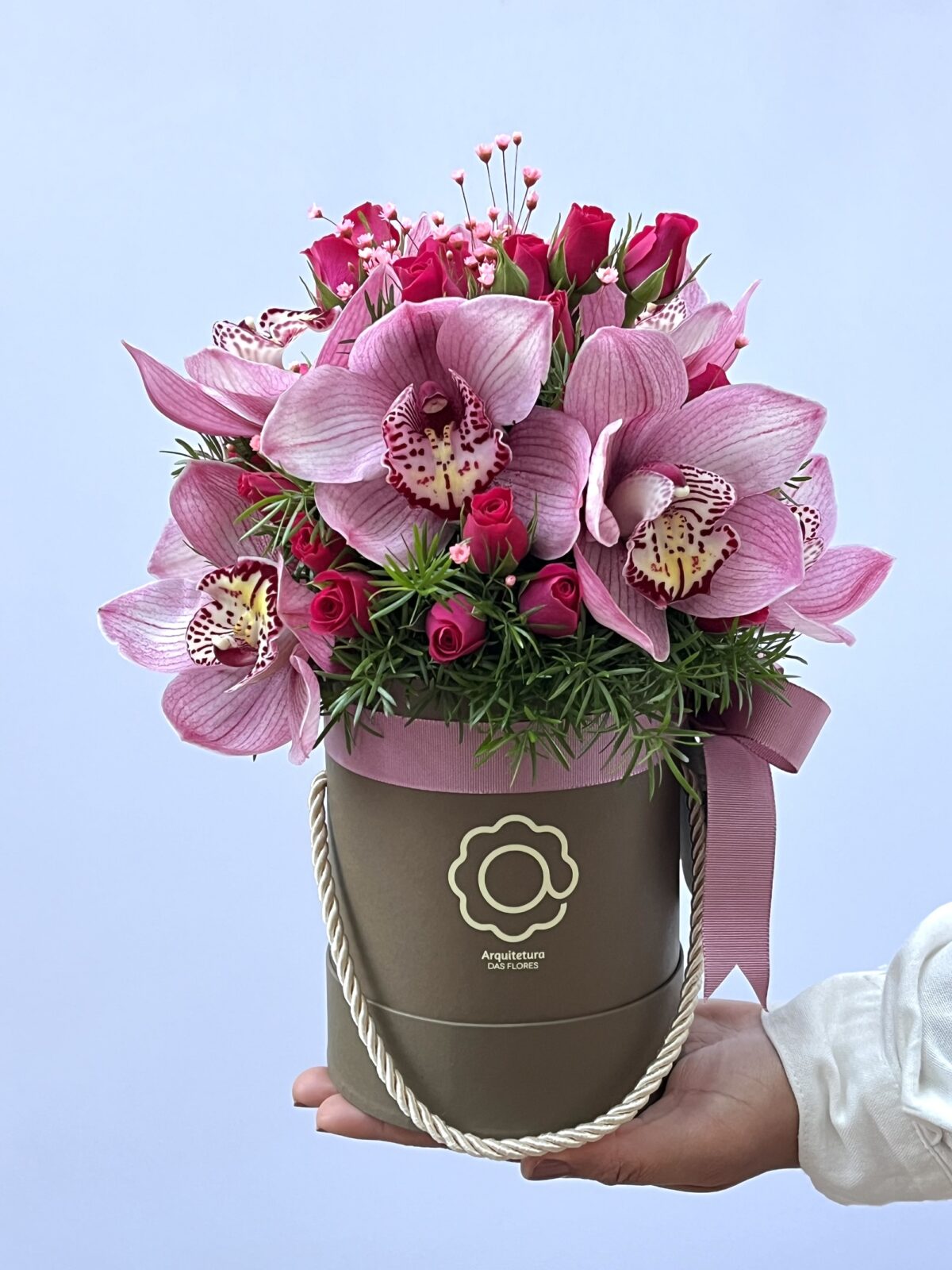 Niágara - Box de Orquídeas Cymbidium - Imagem 1