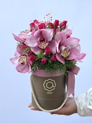 Niágara - Box de Orquídeas Cymbidium