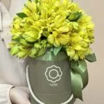 Jade - Box de Astromelias Amarelas