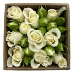 Mini White Box Mini Rosas Brancas - Foto de cima