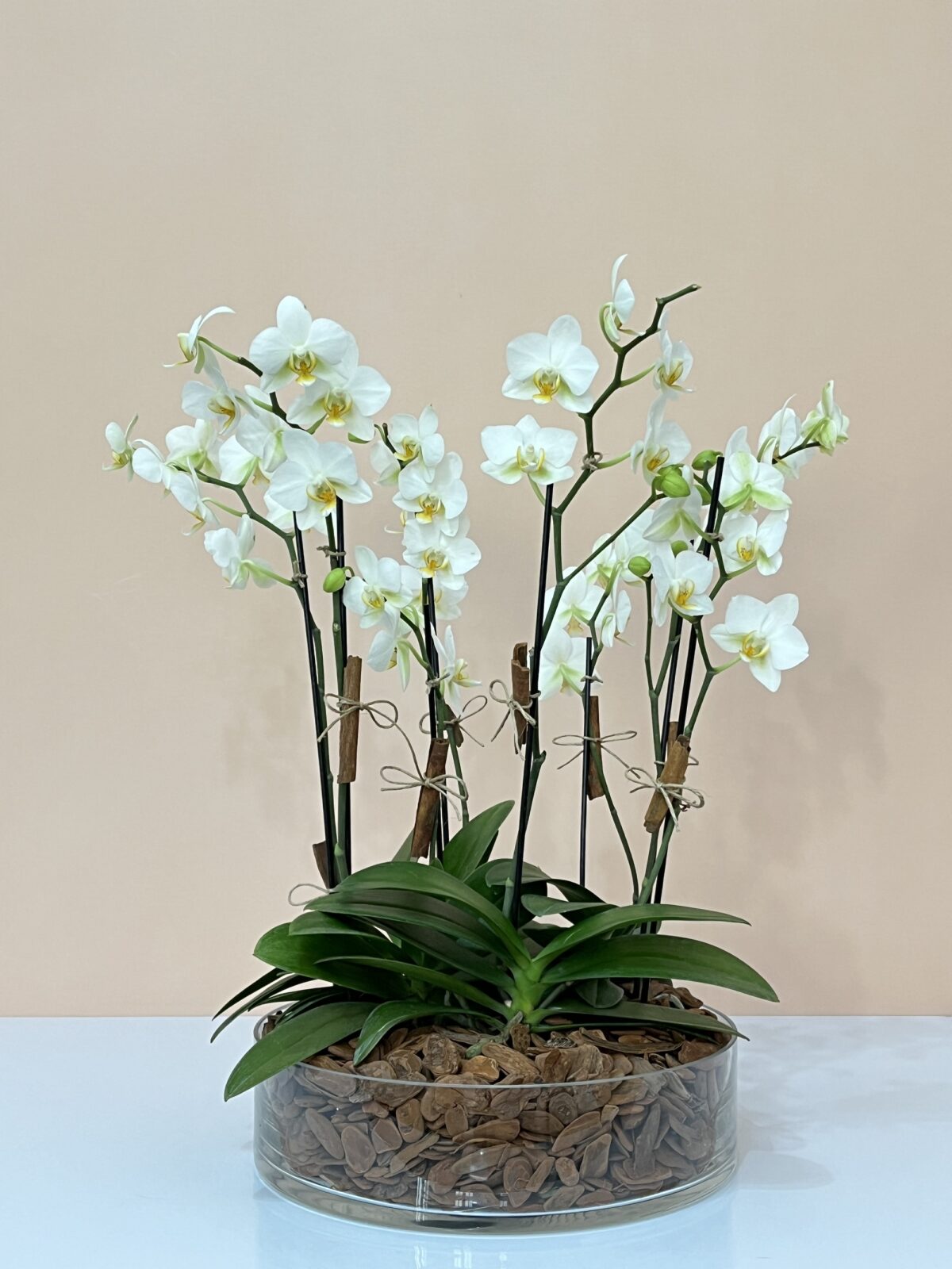 mykonos arranjo de mini orquideas brancas arquitetura das flores porto alegre 1 scaled