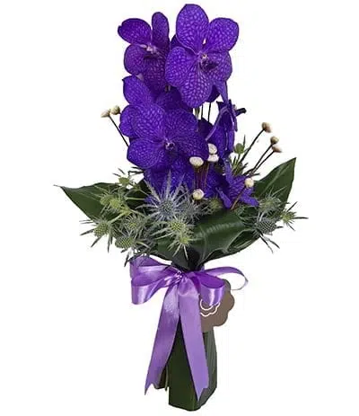 purple.jpg Purple - Buquê de Orquídea Vanda - Imagem 1
