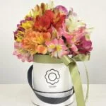 Soncino - Box de Astromelias Coloridas