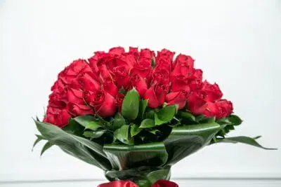 Característica de personalidade: o que as flores dizem sobre você? 4 Rosas vermelhas