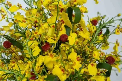 Melhores flores para presentear.