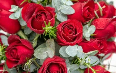 Conjunto Rosas vermelhas, Flores para Presentear