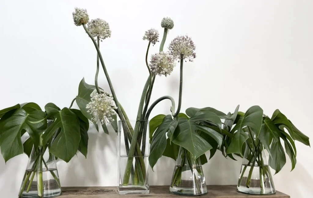 Flores que combinam com o estilo chillhouse.