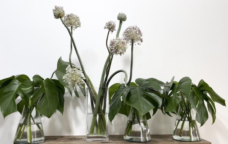 Flores que combinam com o estilo chillhouse.