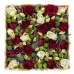 Feliz Natal - Imagem 3